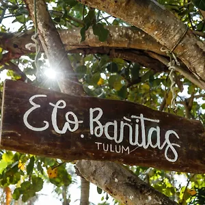  Hotel Eco Banitas Mexique